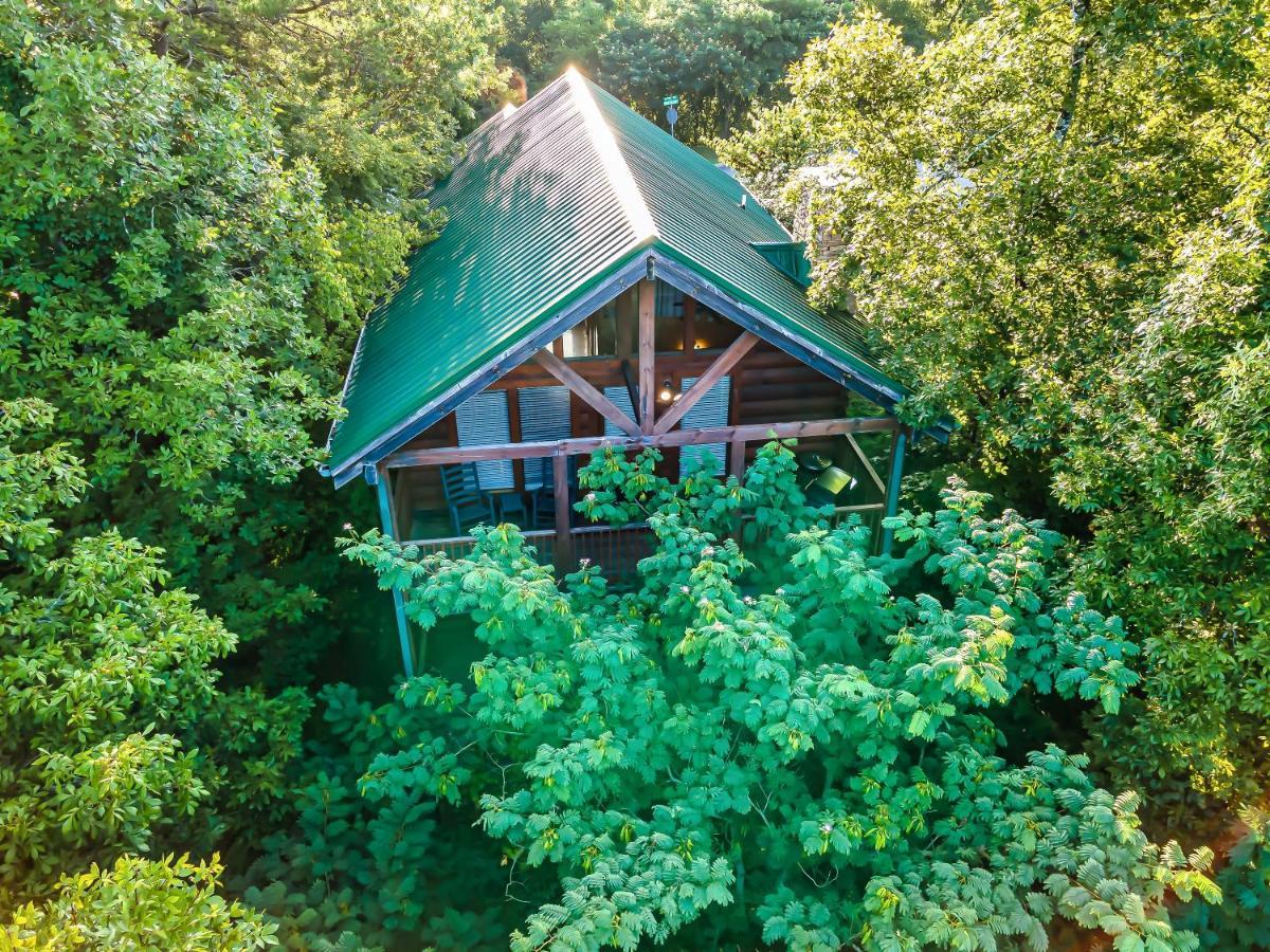 Cozy Log Cabin!! In Heart Of Pf & Close To The Smokies Pigeon Forge Exteriör bild